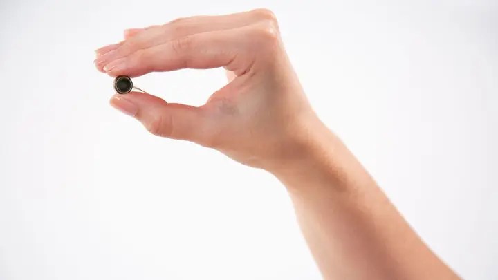 Paradromics Successfully Tests Brain Implant for Epilepsy in First Human&nbsp;Trial